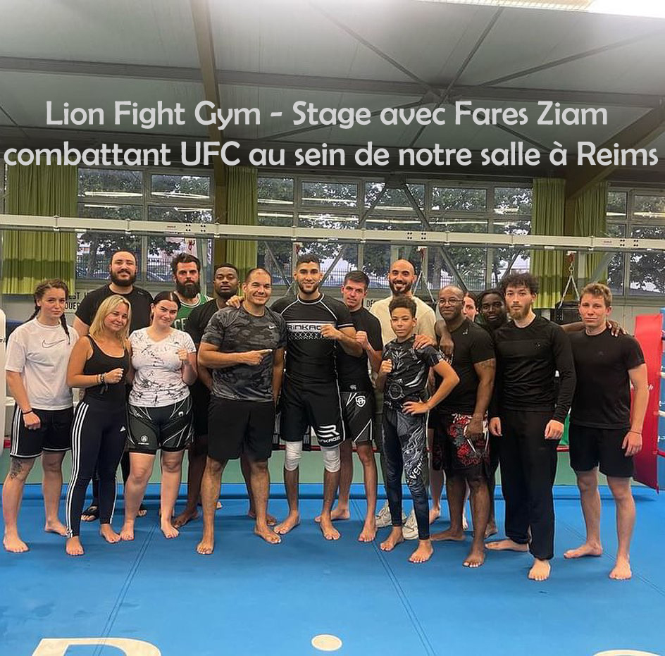 Lion Fight Gym - stage avec Fares Ziam, combattant UFC